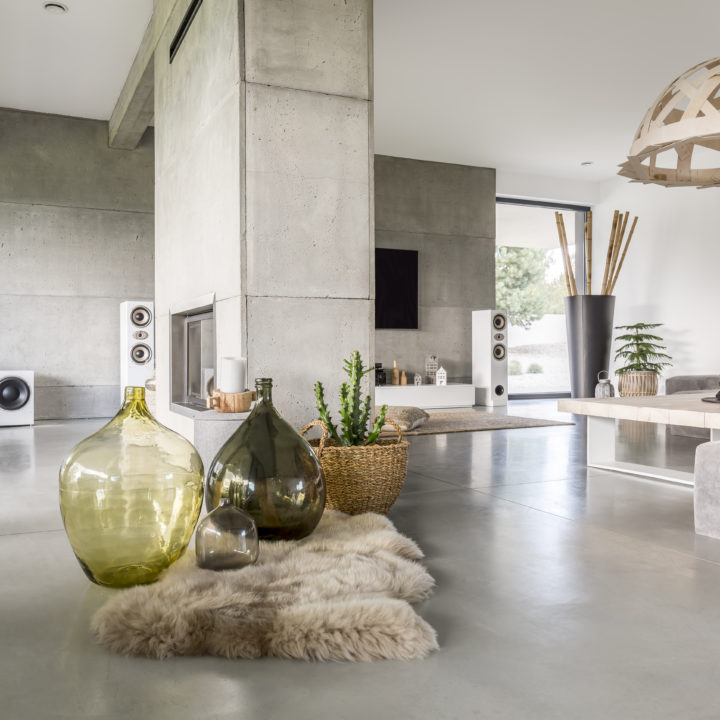 Big decorative glass vases standing on soft rug placed next to potted plant