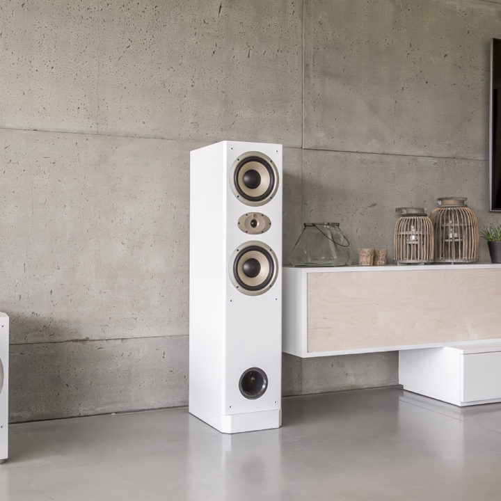 Decorative elements on shelf next to television and loudspeaker